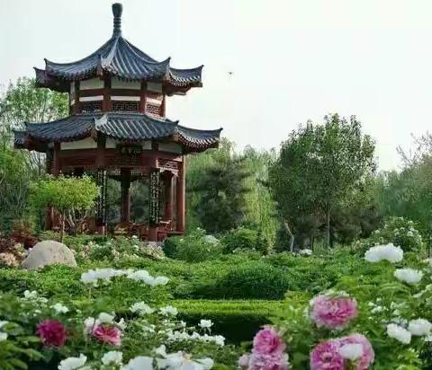 作品：【圆梦】诗～4首，【翁居铭】～2首，作者：刘晓平，歌曲：乡间小路，演唱：酷狗音乐