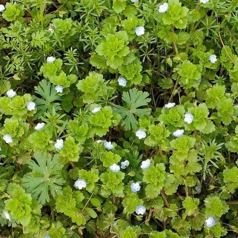 我的青春回忆——小教2105班孙伟烨