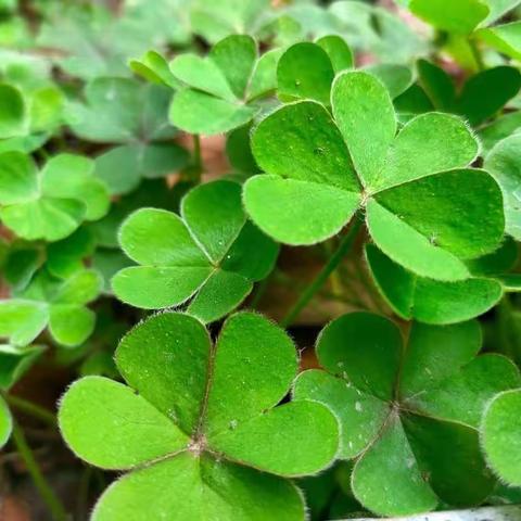 回首2022 我来总结——小教2105孙伟烨