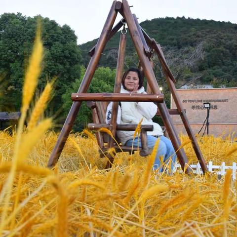 风吹麦浪，颗粒归仓