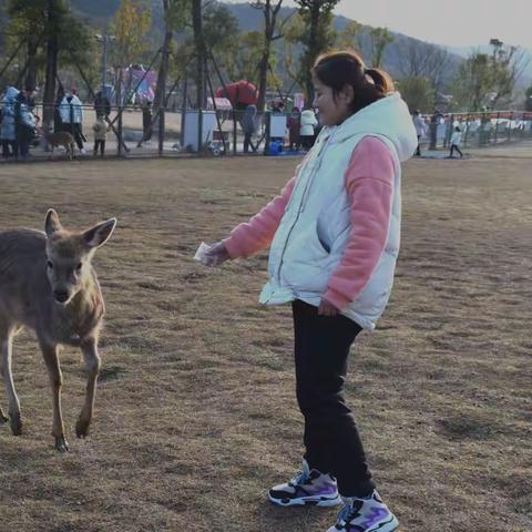 山谷、鹿岛，我们的怏乐时光