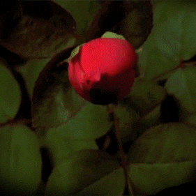 凝心聚力抓教研 砥砺前行促发展，——干洲中小教研活动纪实