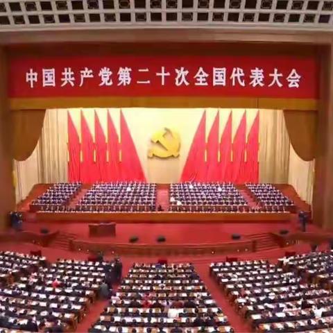 中共营口老兵救援志愿者协会党支部二十大报告学习总结