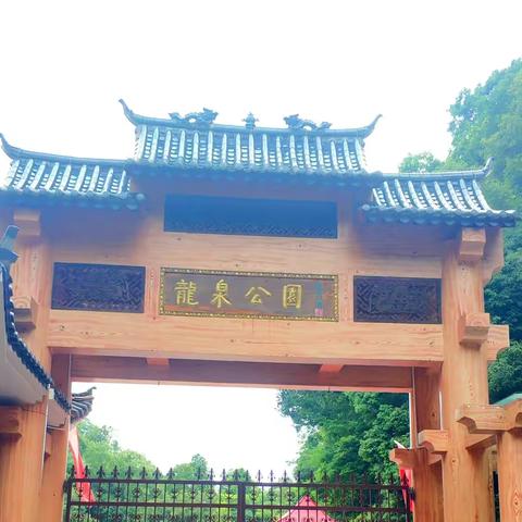 易门龙泉国家森林公园掠影