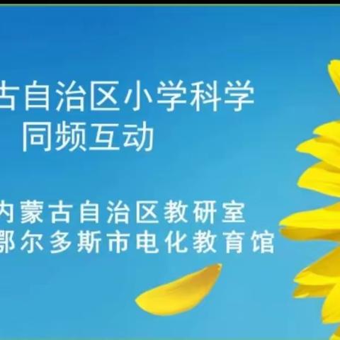 教学相长，携手并进——突泉县小学科学教师参加内蒙古自治区同频互动活动