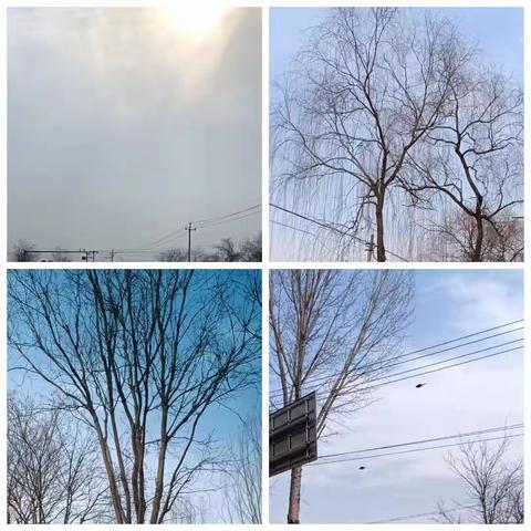 赏心中美景 书优美之诗——顺义区十三中学初二（6）班寒假活动