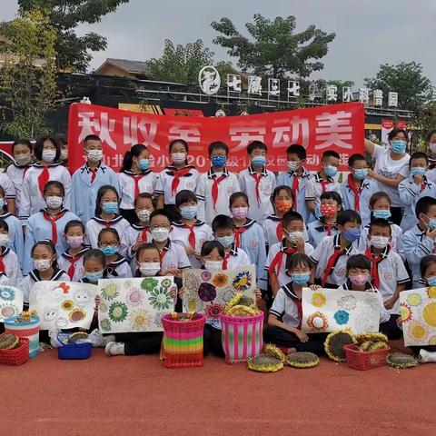 实践磨砺品格   劳动淬炼成长 文山北实验小学五（1）中队开展“秋收至 劳动美”校园劳动实践活动