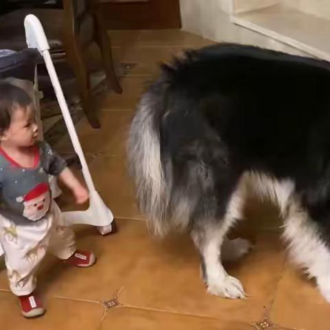 珺禾成长记  （四）