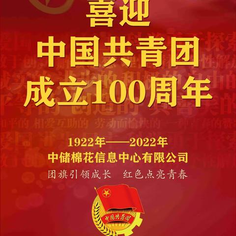 中储棉信息中心团支部组织开展庆祝建团百年系列活动