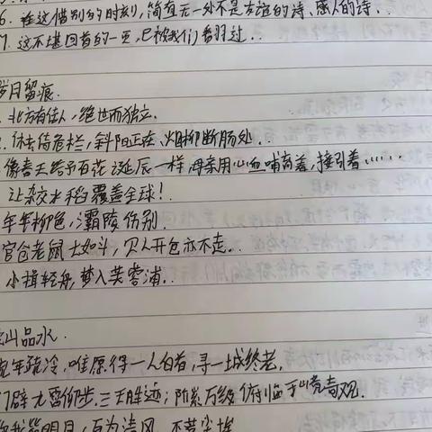 郝力潼暑假作业