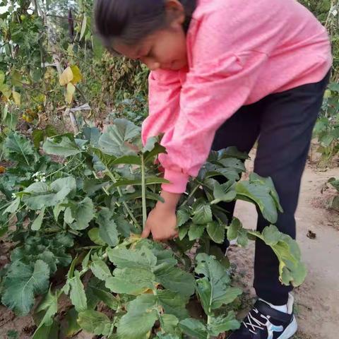 2021年国庆节贾若煜