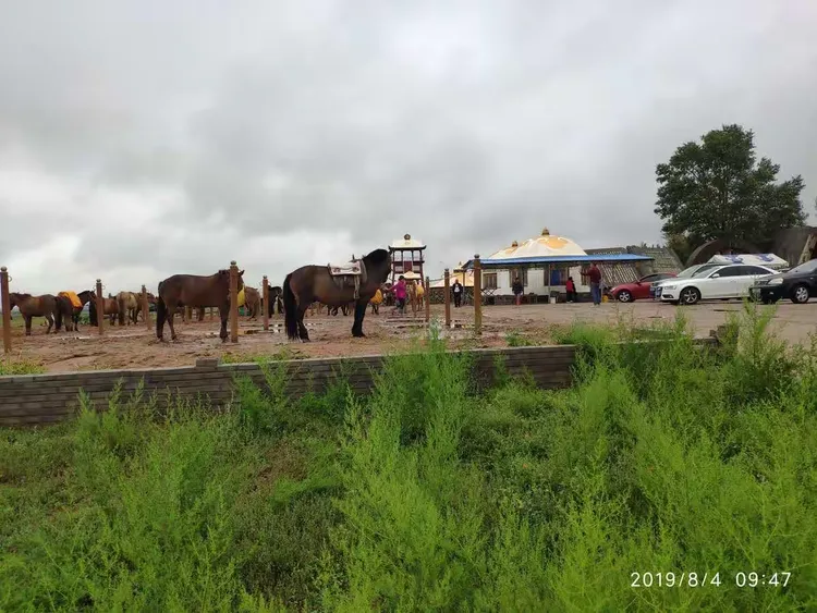 美丽的甘德尔草原