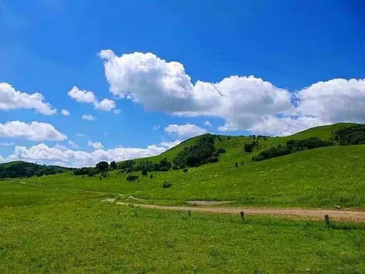 美丽的甘德尔草原