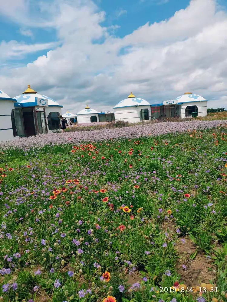 美丽的甘德尔草原