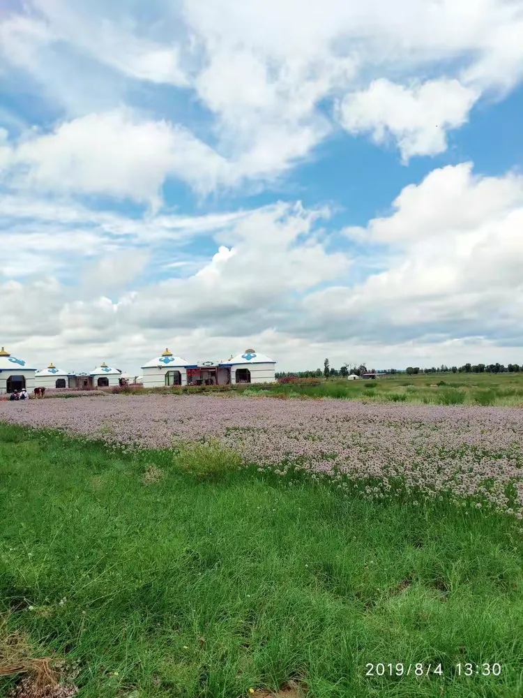 美丽的甘德尔草原