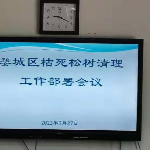 婺城区召开枯死松树清理工作部署会议