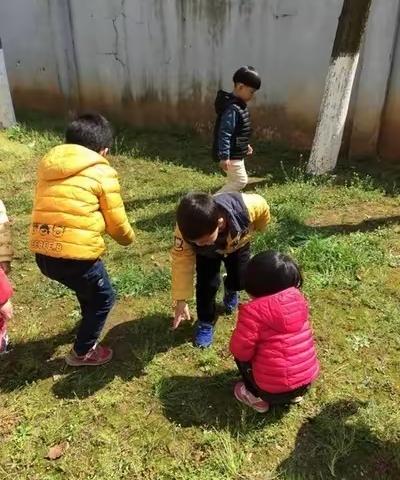 方里镇张庄中心小学———记录双减下劳动实践活动美篇