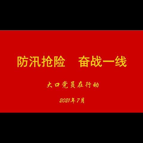 防汛抢险  奋战一线——大口党员在行动