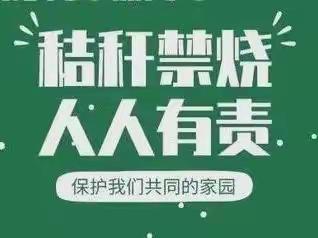 河南疃镇：禁烧倡议书