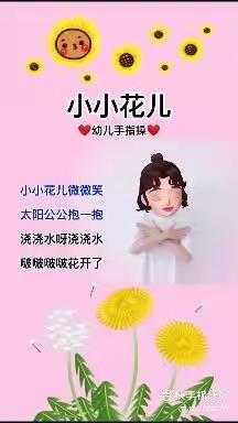 花儿好看我不摘