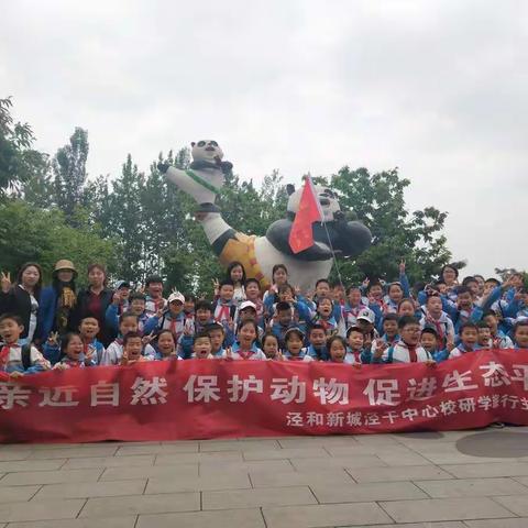 泾干中心小学 3.4班 走进野生动物园，探索神奇大自然
