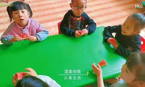 阳光体智能、快乐共成长——灵武市健康幼儿园中一班体智能活动