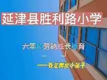 童心童乐做美食，我是厨房小能手    ——延津县胜利路小学六年级劳动教育实践活动