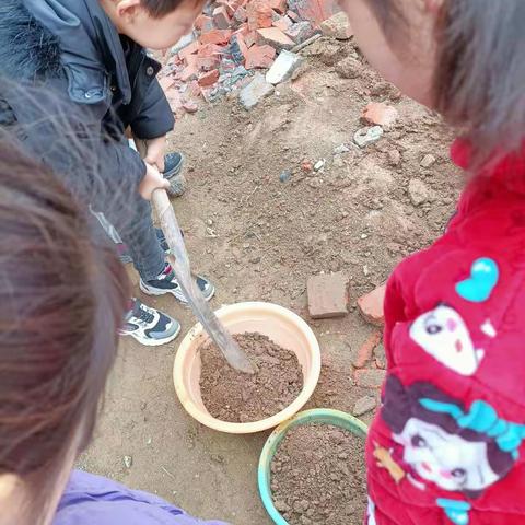 冯老庄小学植树节活动总结