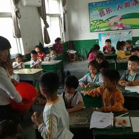 邢庄乡三李小学果园丰收啦！