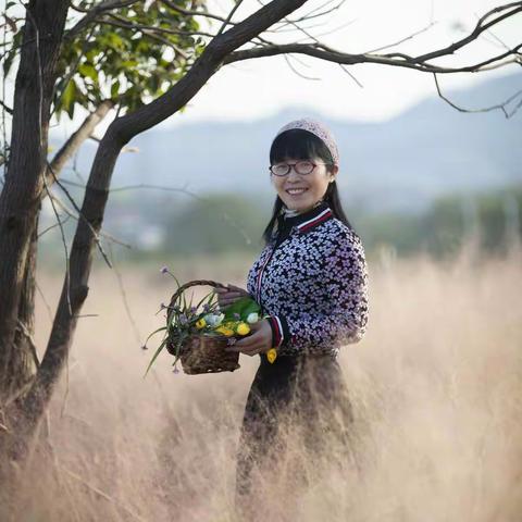 梦幻粉黛乱子草