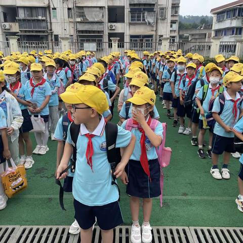 千岛湖碧水旅行社