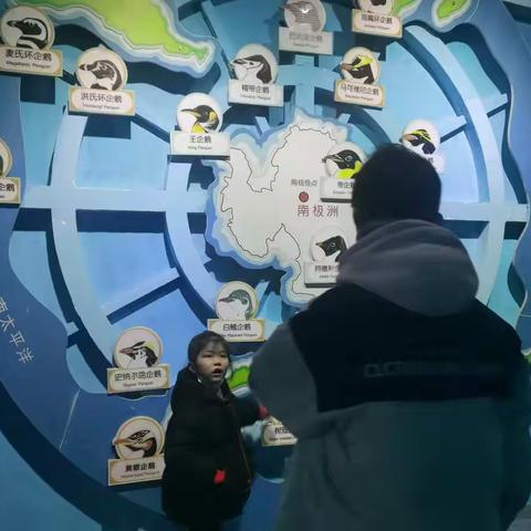 快乐的寒假生活