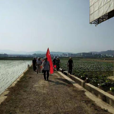 赵桅社区党总支积极组织开展“抗旱保春耕”主题党日活动