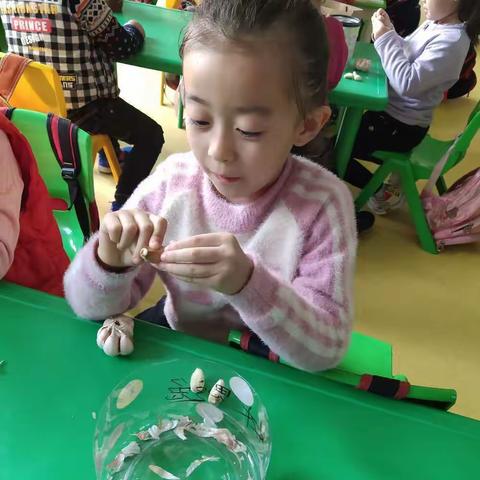 北京红缨嘉诚幼儿园🎉大一班🎉种蒜活动🎉🎉