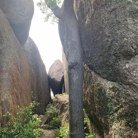 20220430海月岩偶思