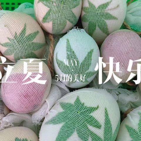 格文森林里蒲公英之家：忽而夏至