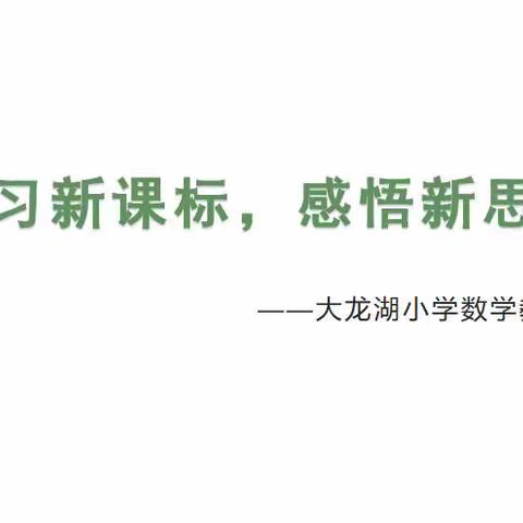 学习新课标，感悟新思想——大龙湖小学数学教研活动