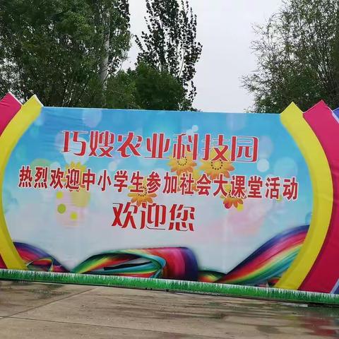 龙湾巧嫂之行