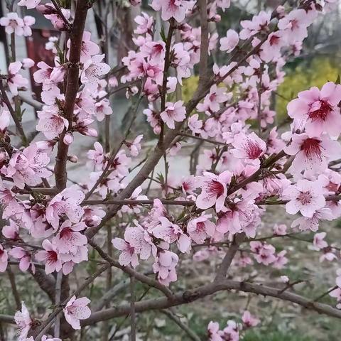 春暖花开，“绳”采飞扬