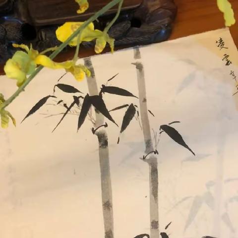 赏竹之韵味，品中华文化