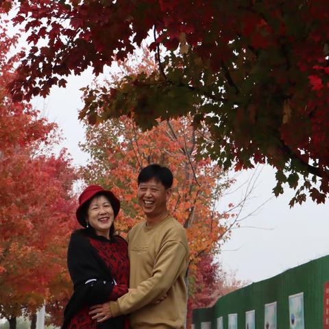 汤山公园红枫大道