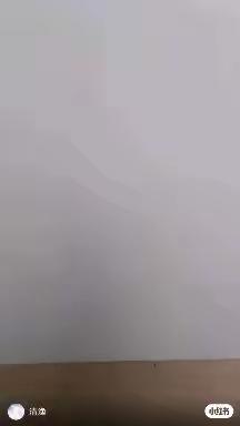 五下美术11.植物写生（进行单株或树株植物组合的写生创作，记得加背景）