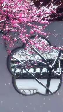 古诗2（原文让孩子跟读，翻译只要听就可以了）