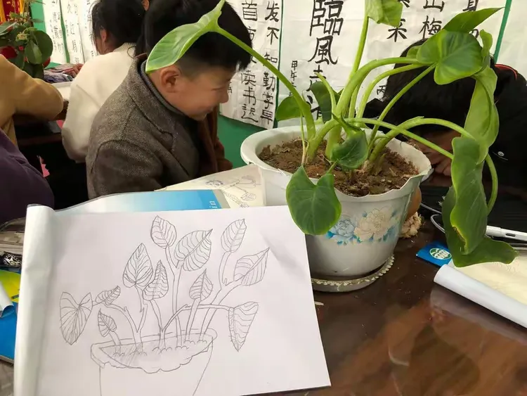 植物写生