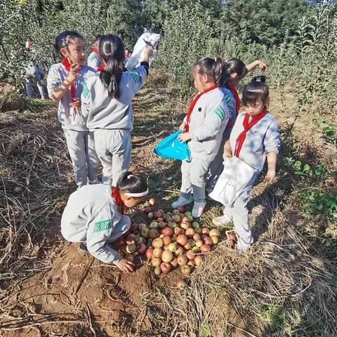 四（5）班实践基地苹果采摘记