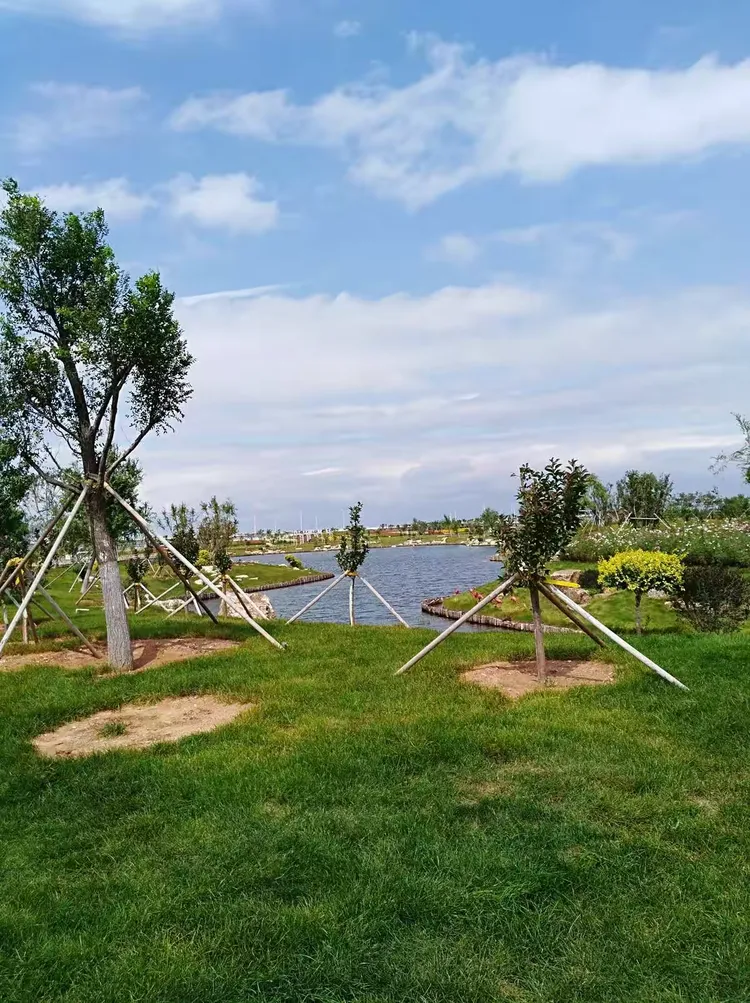 盘锦辽滨含章湖度假区玉露花语一日游