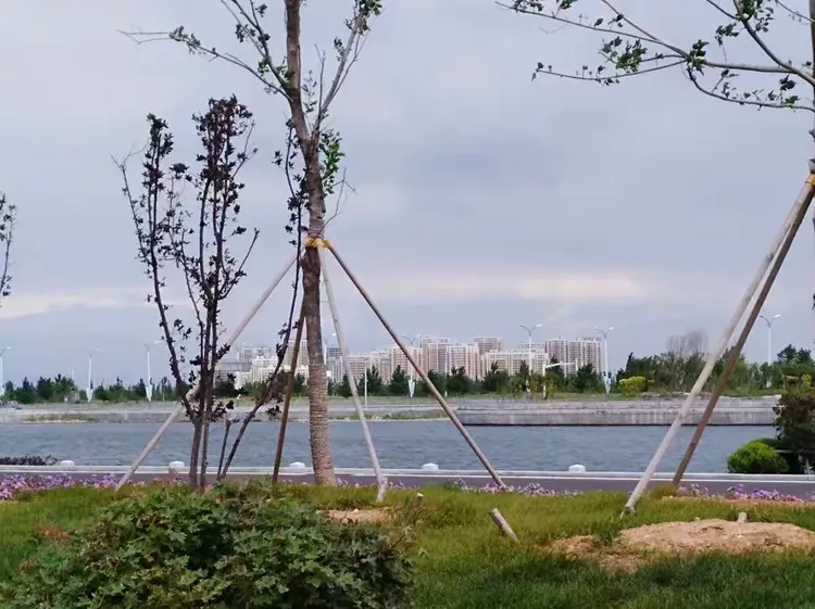 盘锦辽滨含章湖度假区玉露花语一日游二0一八年八月二十九日