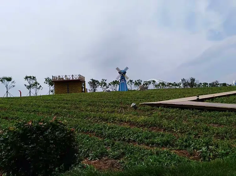 盘锦辽滨含章湖度假区玉露花语一日游