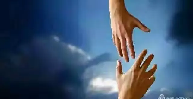 💫️感谢身边的贵人给予信任支持关爱帮助 感恩有你🌹️🌹️🌹️