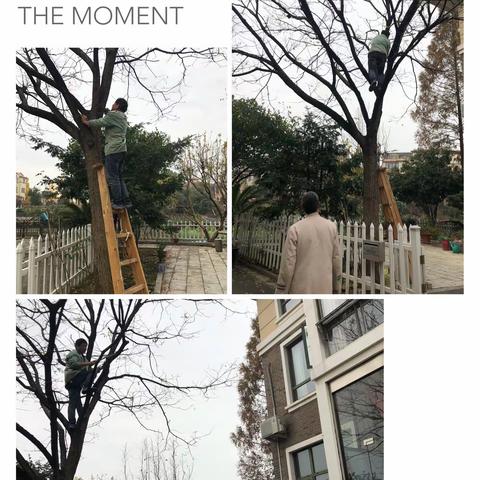 阳光假日一周工作影集